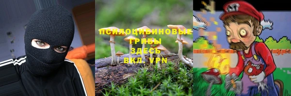 хмурый Мегион