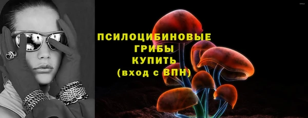 хмурый Мегион
